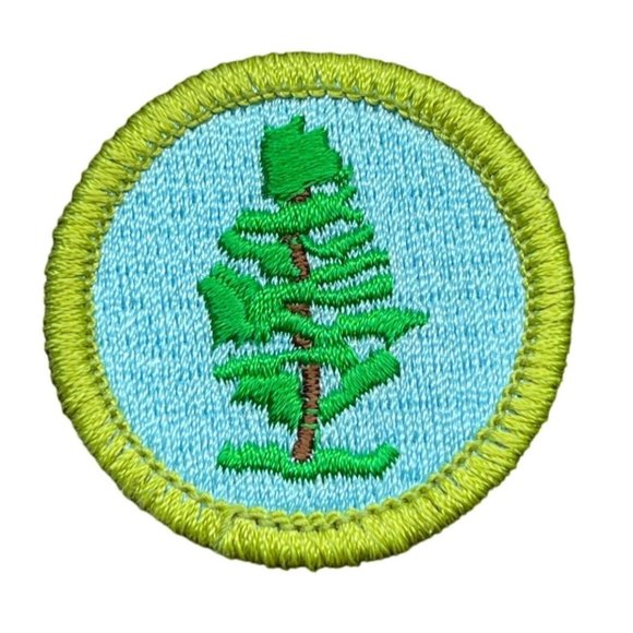 Other - BSA Boy Scouts Forestry Merit Badge Patch